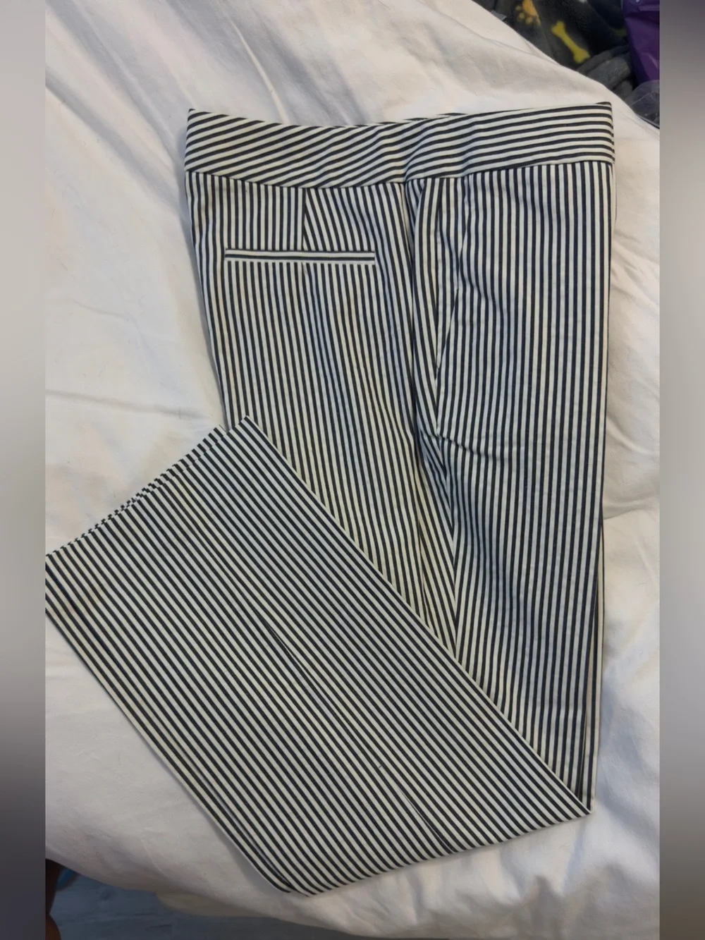 J. Crew Slim Stripe Cotton Chinos in Navy & White